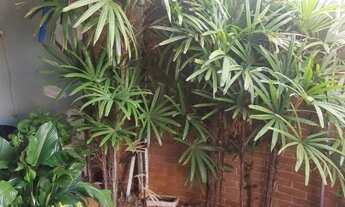 Imagem 6: Casa Térrea à venda, 3 quartos, 3 vagas, Vila Anahy - Campo Grande/MS