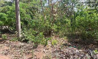 Imagem: Lote à venda, centro - Corguinho/MS