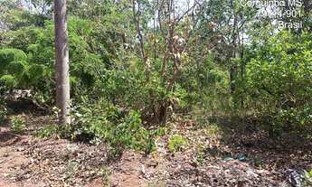 Imagem 2: Lote à venda, centro - Corguinho/MS