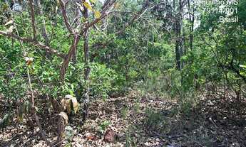 Imagem 4: Lote à venda, centro - Corguinho/MS