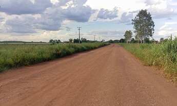 Imagem 2: Chácara à Venda – 12 Hectares