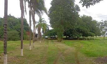 Imagem 3: Chácara à Venda – 12 Hectares