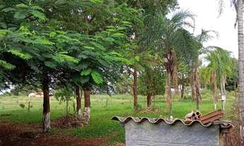 Imagem 7: Chácara à Venda – 12 Hectares