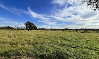 Imagem: Área privativa à venda, Vila Santa Luzia