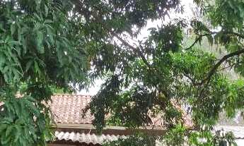 Imagem 6: Oportunidade! Chácara com 10 Hectares a Venda em São Gabriel