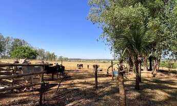 Imagem 5: Chácara Encantadora a Minutos de Campo Grande Saída para Três Lagoas