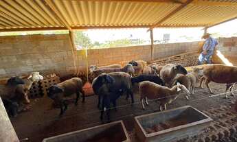Imagem 6: Imóvel comercial à venda, Zona Rural - Campo Grande/MS