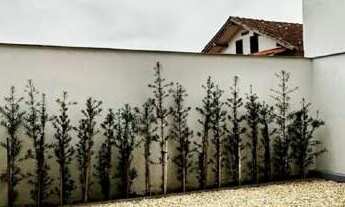 Imagem 6: Geminado à Venda em Jaraguá do Sul com 3 quartos sendo 1 suíte – Bairro São Luís