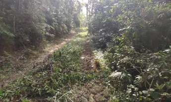 Imagem 7: Terreno de 162.500 m² à venda em Guaramirim (Poço Grande) – Uso Residencial/Comercial