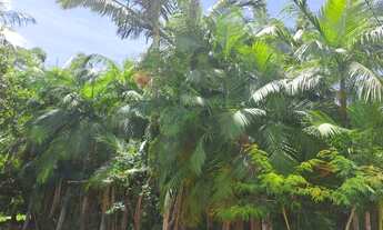 Imagem 3: Terreno à venda, Bairro Amizade, Jaraguá do Sul/ SC