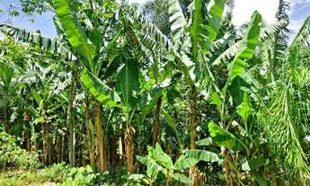 Imagem 7: Terreno à venda, Bairro Amizade, Jaraguá do Sul/ SC