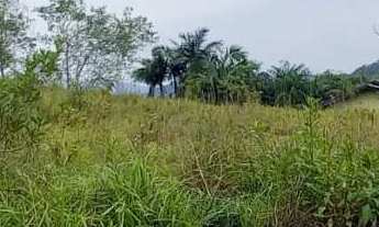 Imagem 3: Terreno à Venda em Jaraguá do Sul, 440,83m² de área total - Bairro Três Rios do Norte