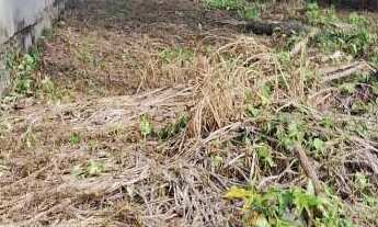 Imagem 4: Terreno à venda, Vila Baependi - Jaraguá do Sul/SC