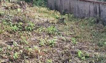 Imagem: Terreno à venda, Vila Baependi - Jaraguá