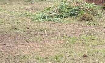 Imagem: Terreno a venda no Bairro Barra do Rio Cerro