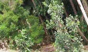 Imagem 3: Terreno a venda no Bairro Barra do Rio Cerro