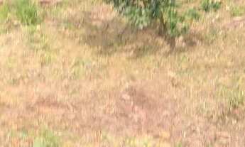 Imagem 6: Terreno a venda no Bairro Barra do Rio Cerro