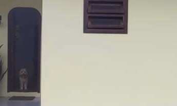 Imagem: Casa à venda, 3 quartos, 1 suíte, Amizade