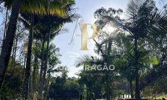 Imagem 5: Sítio à venda em Lontras, Zona Rural, 5ha