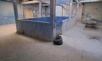 Imagem 3: Jardim América - Junto a Pres.Dutra - Galpão Industrial, 382m² Construídos