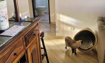 Imagem 5: Cobertura à venda em São Bernardo do Campo, Rudge Ramos, com 2 quartos, 140m²