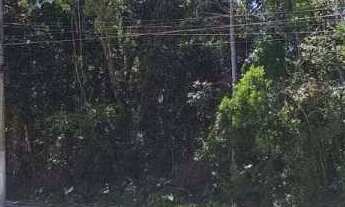 Imagem: Terreno à venda em Bertioga, BORACEIA