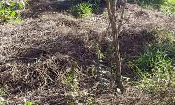 Imagem 4: Terreno à venda em Itatiba, Recreio Costa Verde, 1000m²