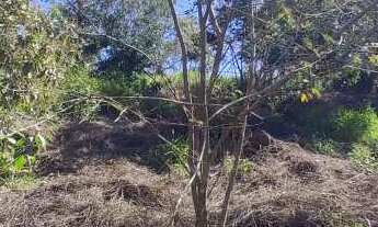 Imagem 6: Terreno à venda em Itatiba, Recreio Costa Verde, 1000m²