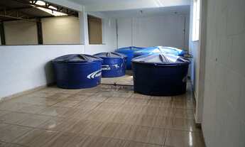 Imagem 4: Galpão para alugar em Barbacena, Monte Mário, 420m²