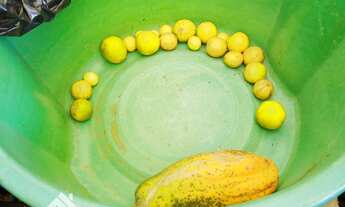 Imagem 7: Oportunidade única em Guapó-GO: chácara de 1.000 m² pronta para morar