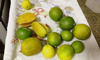 Imagem 6: Oportunidade única em Guapó-GO: chácara de 1.000 m² pronta para morar