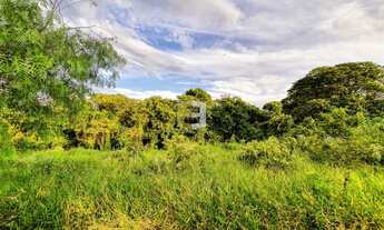 Imagem 5: EXCELENTE TERRENO PRONTO PARA CONSTRUIR