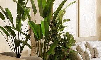 Imagem 4: Apartamento à venda no Jockey de Itaparica