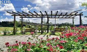 Imagem 4: 785M² de Área Total