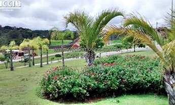 Imagem 5: 785M² de Área Total