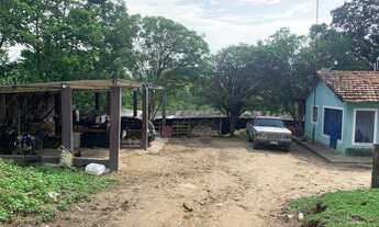 Imagem 1: 2705M² de Área Construída, 2705M² de Área Total