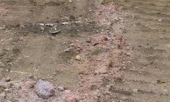 Imagem 2: 274M² de Área Total