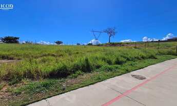 Imagem 4: 797M² de Área Construída, 797M² de Área Total