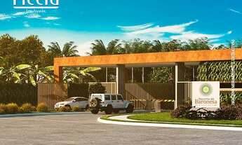 Imagem 4: 779M² de Área Total