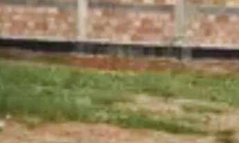 Imagem: 260M² de Área Construída, 260M² de Área