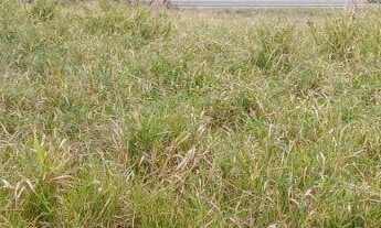 Imagem 5: 250M² de Área Construída, 250M² de Área Total