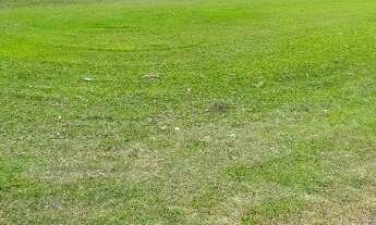 Imagem: 400M² de Área Construída, 400M² de Área