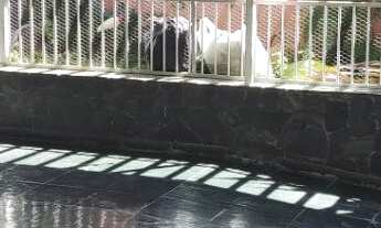 Imagem 3: 3 dormitórios, 1 suítes, 3 banheiro, 4 vagas na garagem, 117M² de Área Construída