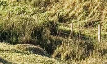 Imagem 3: 18500M² de Área Construída, 18500M² de Área Total