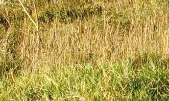 Imagem 4: 18500M² de Área Construída, 18500M² de Área Total