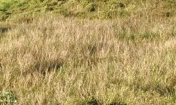 Imagem 5: 18500M² de Área Construída, 18500M² de Área Total