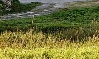 Imagem 2: 18500M² de Área Construída, 18500M² de Área Total