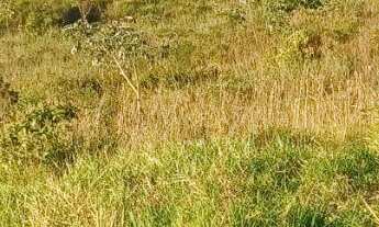 Imagem 6: 18500M² de Área Construída, 18500M² de Área Total