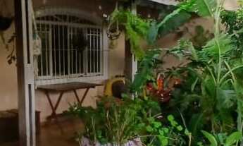 Imagem: 3 dormitórios, 1 suítes, 2 banheiro, 2