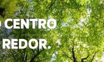 Imagem 5: 250M² de Área Construída, 250M² de Área Total